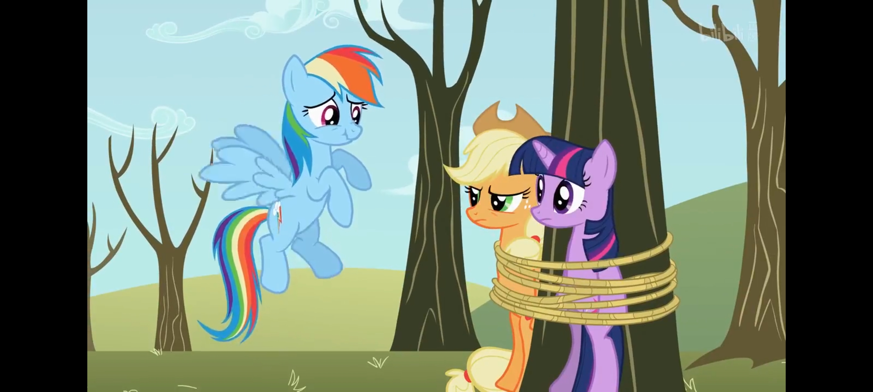 小马宝莉,彩虹小马,我的小马驹,动画,动漫,番剧,二次元,ACG