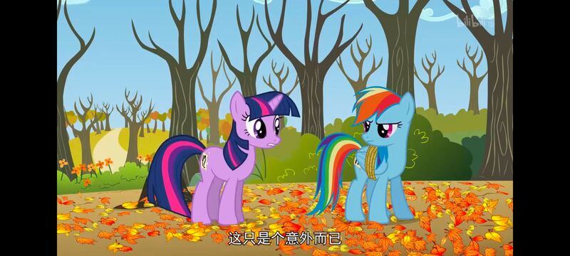 小马宝莉,小马宝莉友谊魔法,彩虹小马,我的小马驹,动画,动漫,番剧,ACG