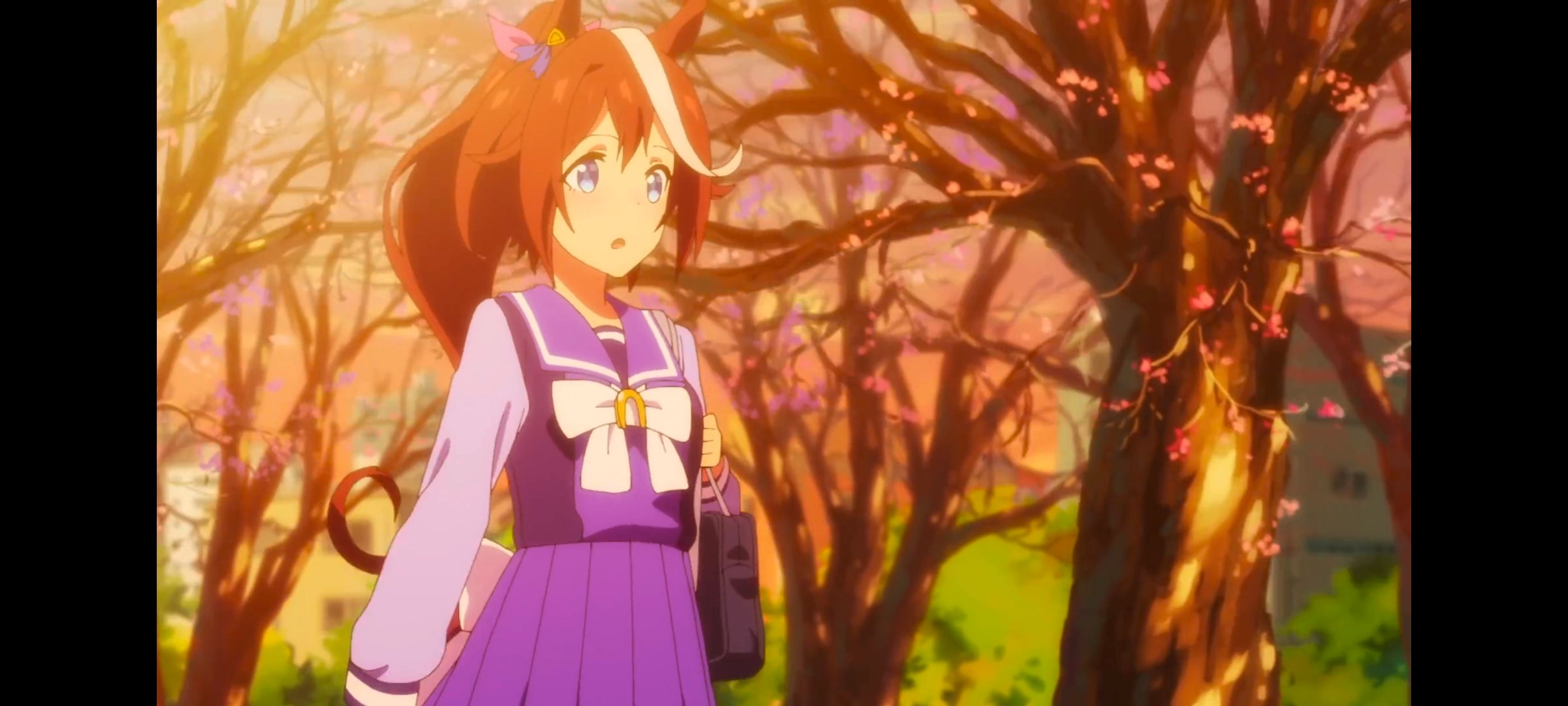 赛马娘,赛马娘PrettyDreby,赛马娘第二季,动画,动漫,番剧,ACG