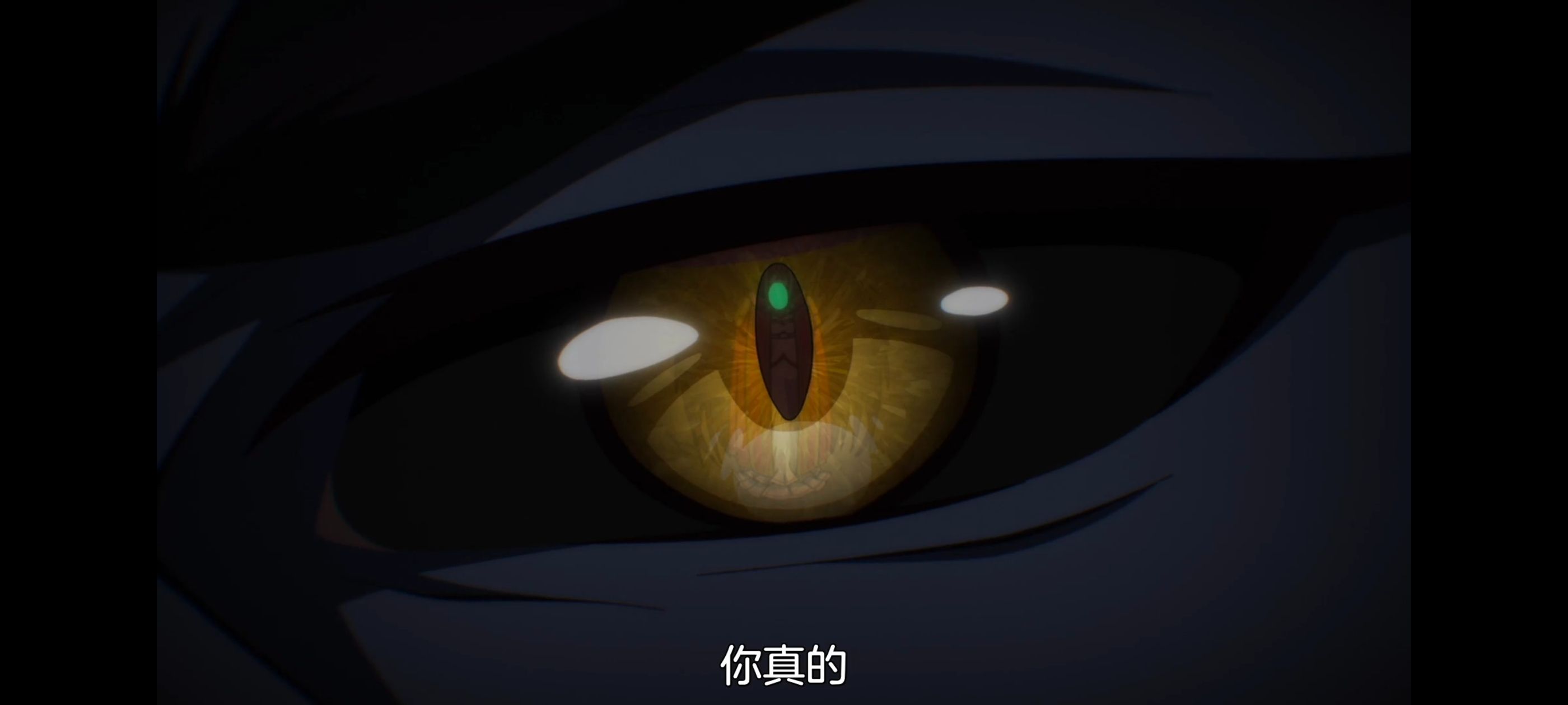 野生的最终BOSS出现了,野生的大魔王出现了,动画,动漫,番剧,ACG