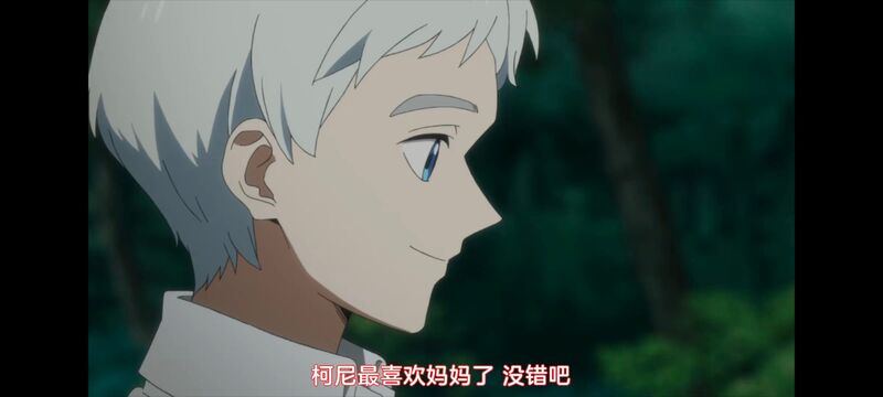 约定的梦幻岛,动画,动漫,番剧,ACG