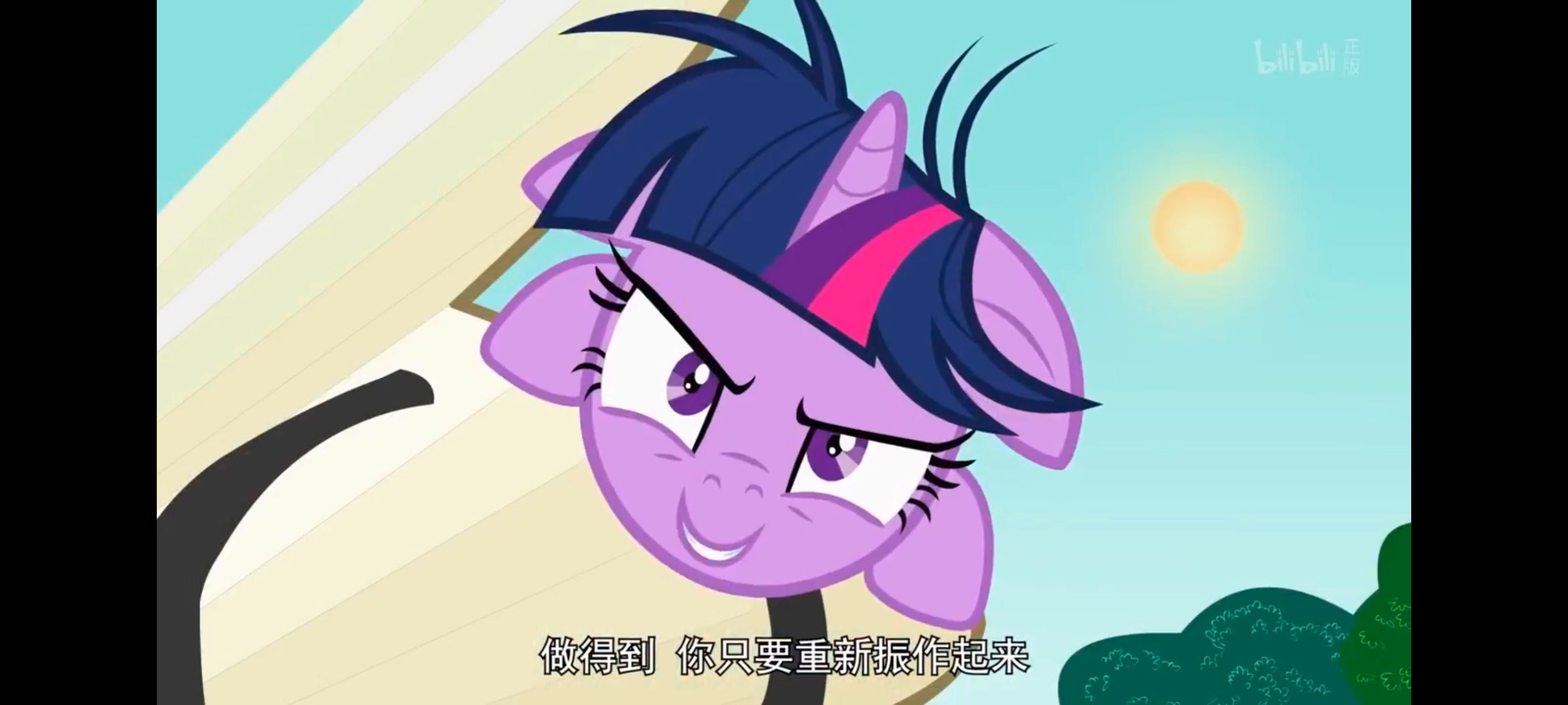 小马宝莉,小马宝莉友谊魔法,彩虹小马,我的小马驹,动画,动漫,番剧,ACG