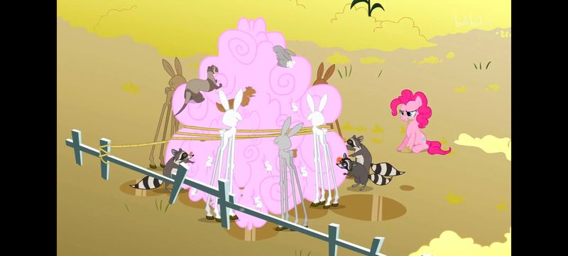 小马宝莉,小马宝莉友谊魔法,彩虹小马,我的小马驹,动画,动漫,番剧,ACG