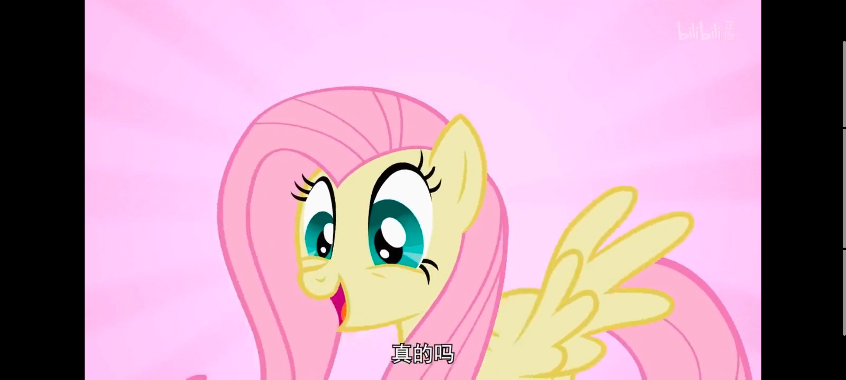 小马宝莉,彩虹小马,我的小马驹,动画,动漫,番剧,二次元,ACG