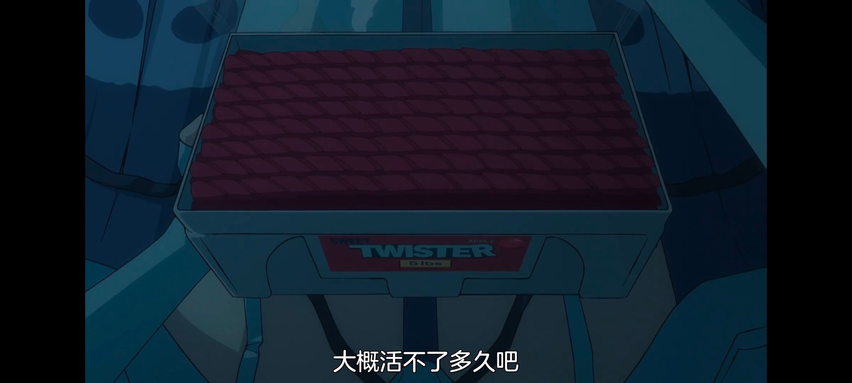 命运奇异赝品,FatestrangeFake,动画,动漫,番剧,ACG