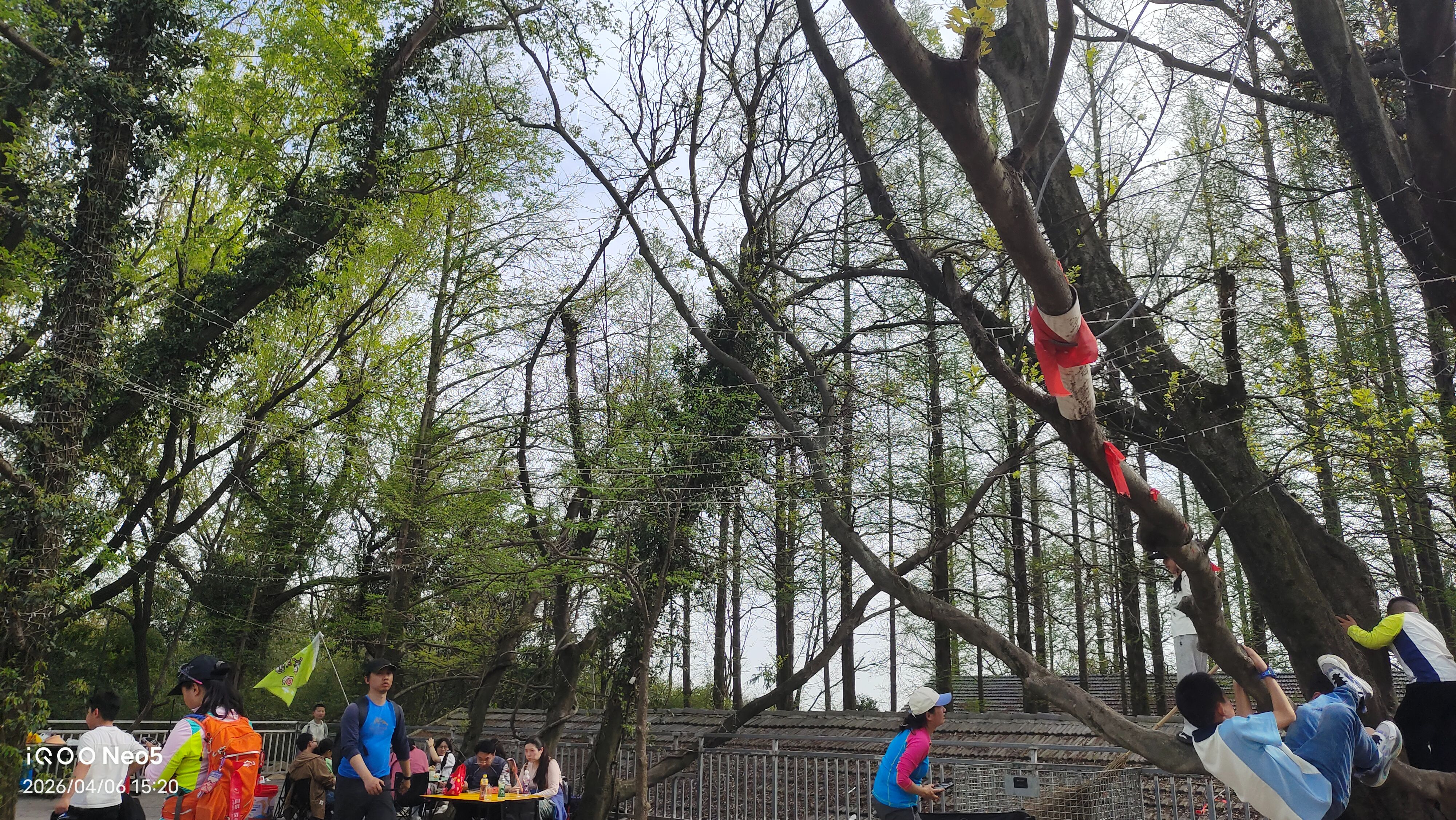 跑山,旅行,假期,生活,湖州