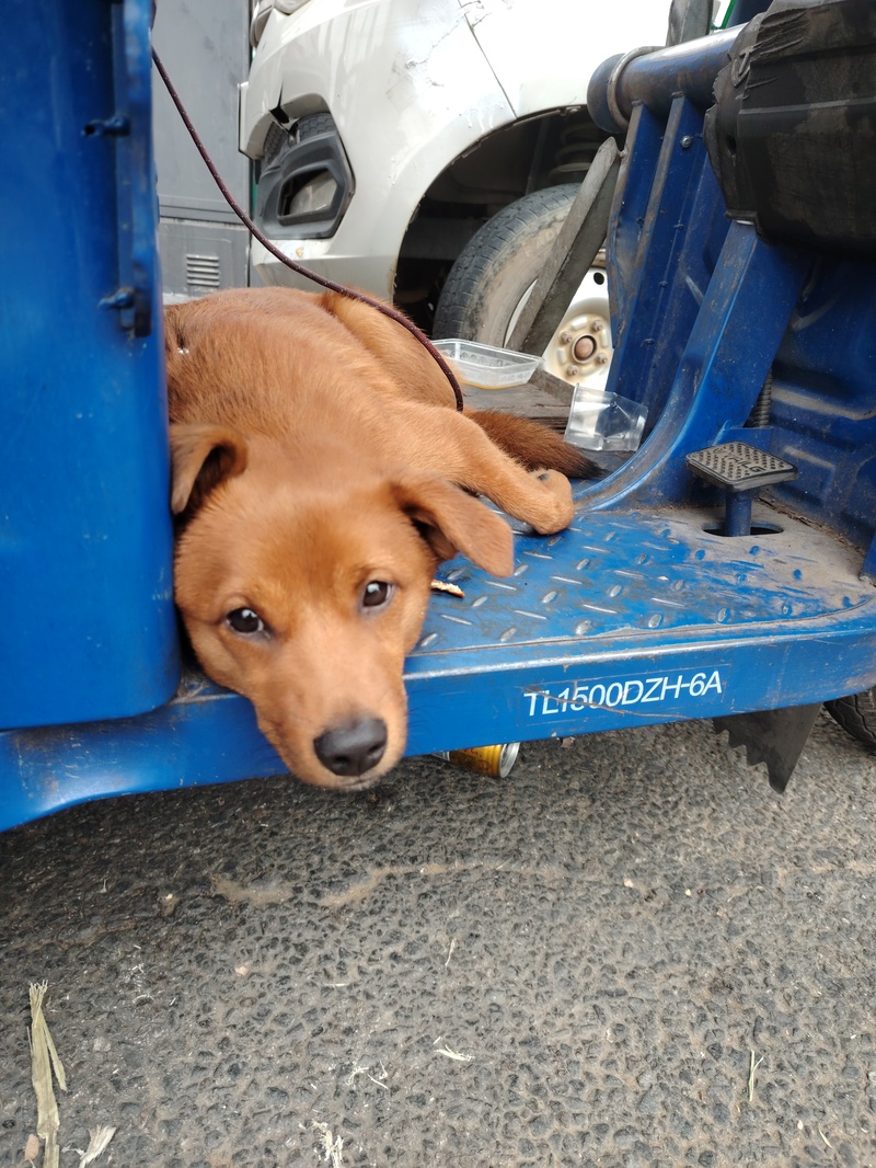 登山,记叙文,轻音少女