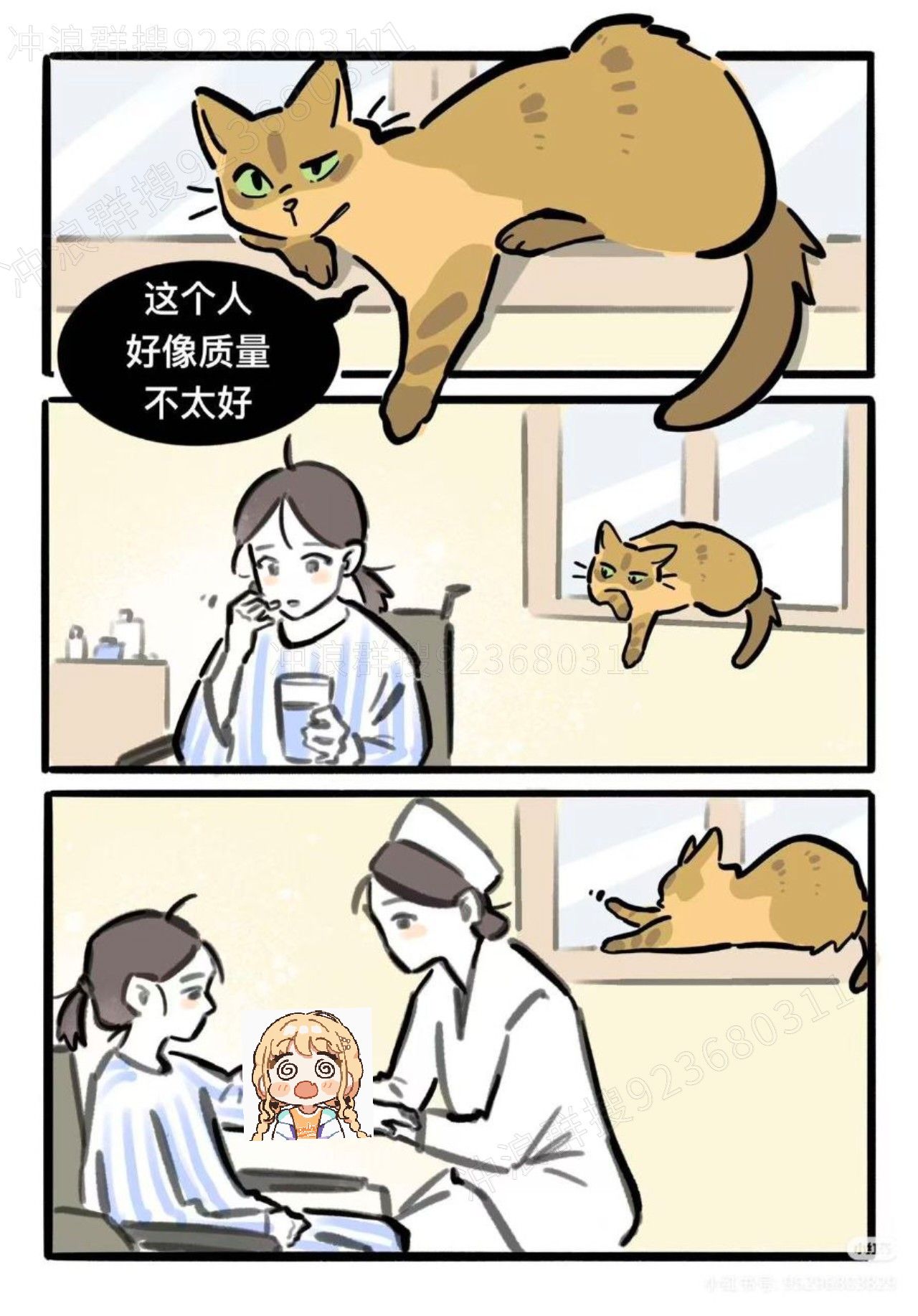 猫,故事
