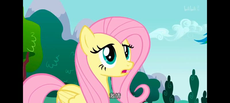小马宝莉,小马宝莉友谊魔法,彩虹小马,我的小马驹,动画,动漫,番剧,ACG