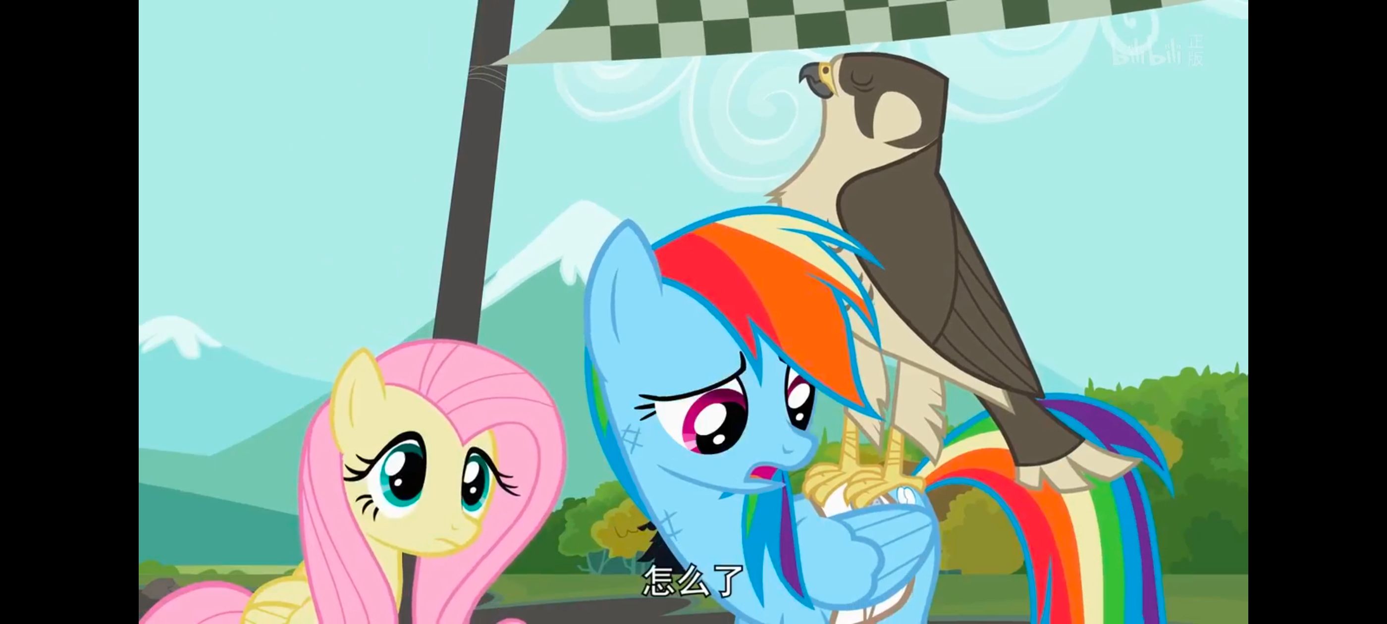 小马宝莉,彩虹小马,我的小马驹,动画,动漫,番剧,二次元,ACG