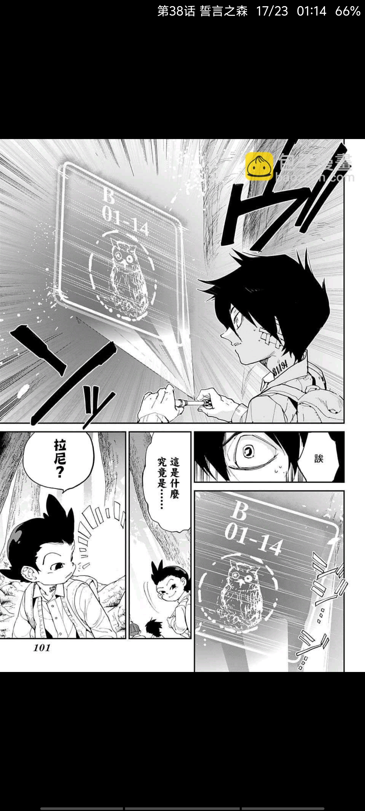 约定的梦幻岛,漫画,动漫,ACG