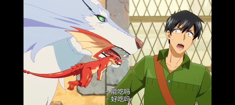 网购技能开启异世界美食之旅,拥有超常技能的异世界流浪美食家,动漫,动画,番剧,ACG