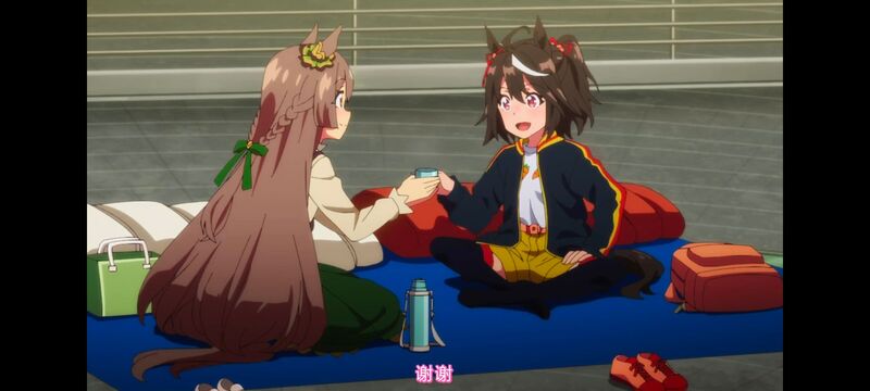 赛马娘,赛马娘PrettyDreby,赛马娘第二季,动画,动漫,番剧,ACG