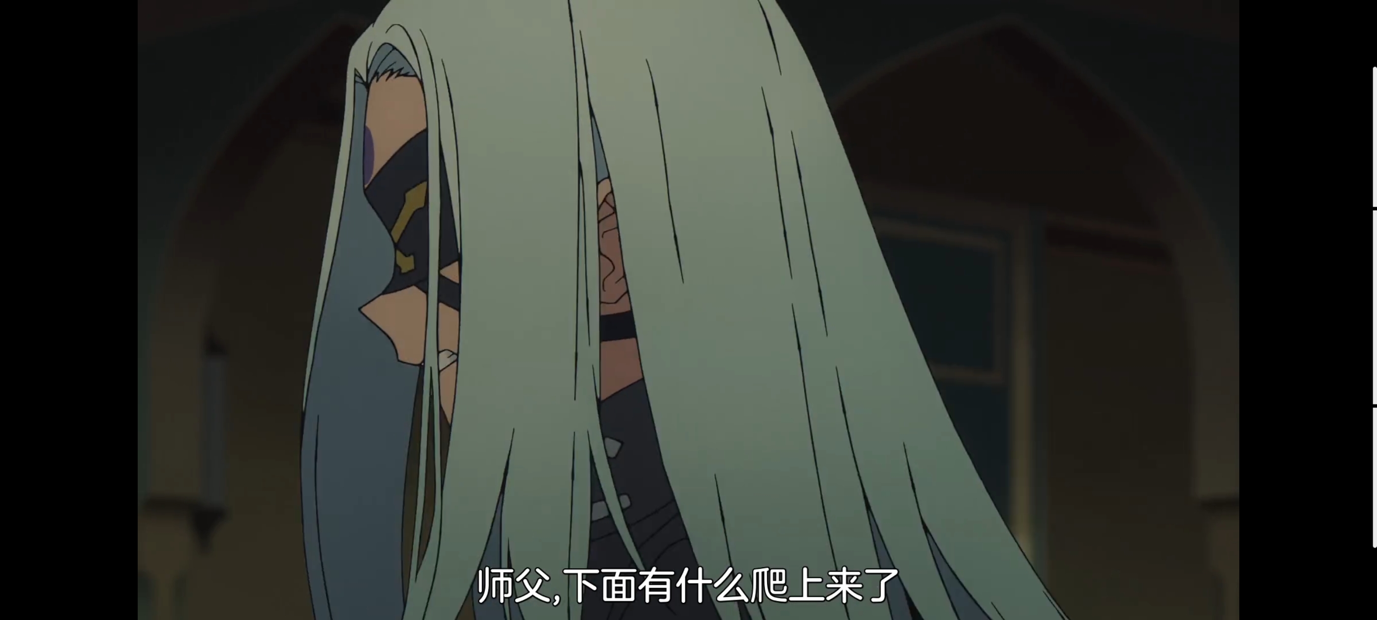 命运奇异赝品,FATE,FatestrangeFake,动漫,动画,番剧,ACG