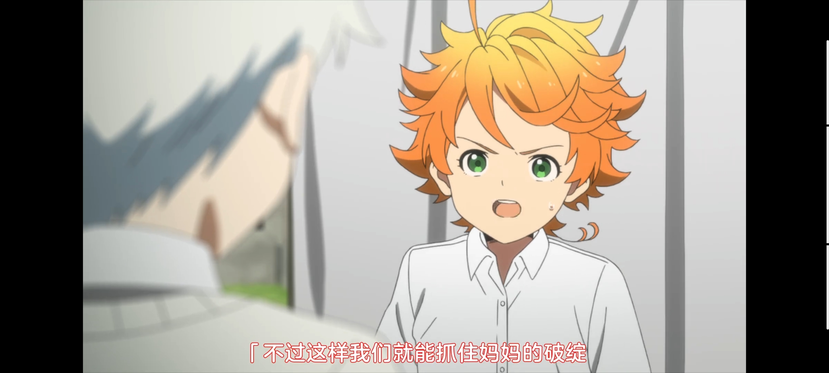 约定的梦幻岛,动画,动漫,番剧,二次元,ACG