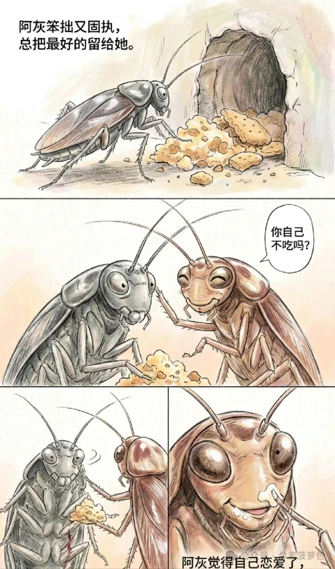 猎奇,故事,恋爱