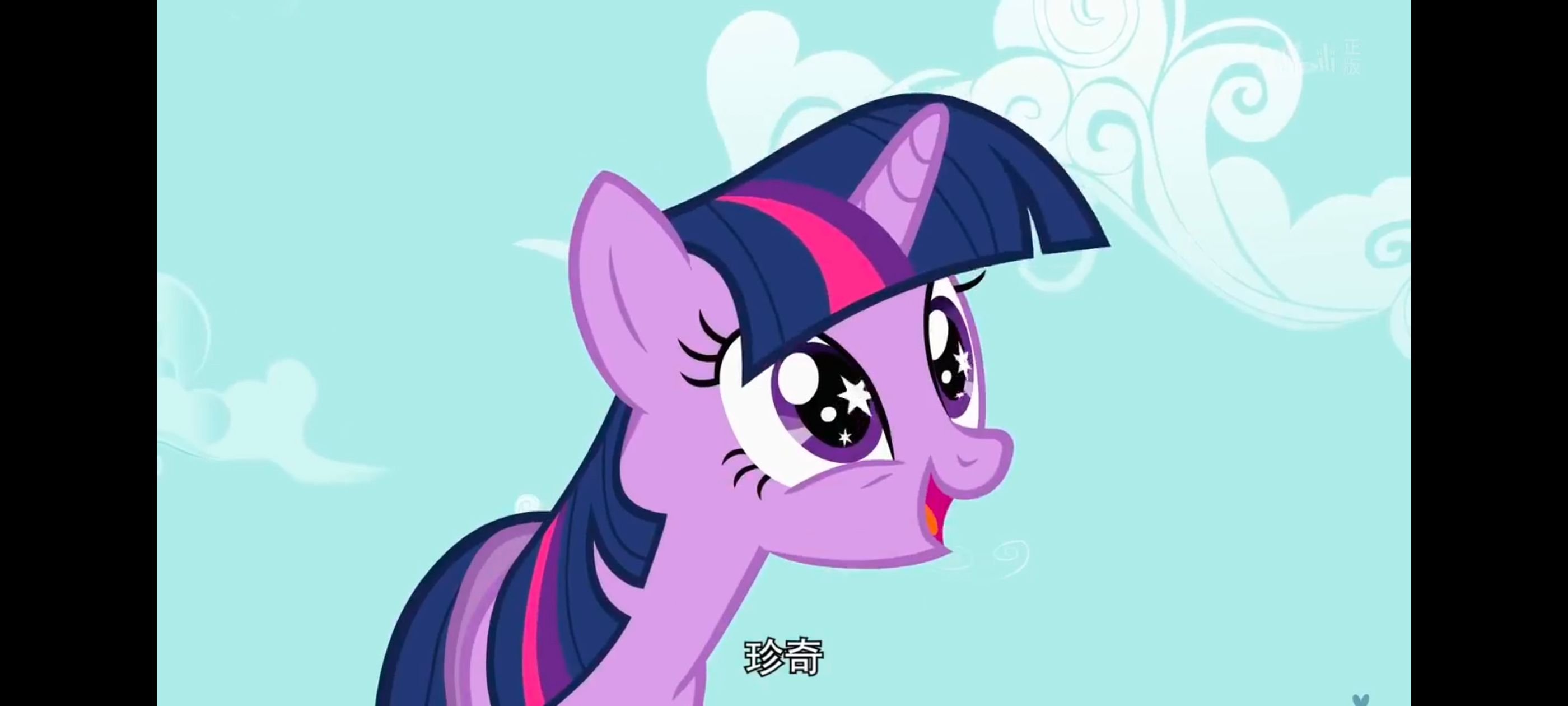 小马宝莉,小马宝莉友谊魔法,彩虹小马,我的小马驹,动画,动漫,番剧,ACG