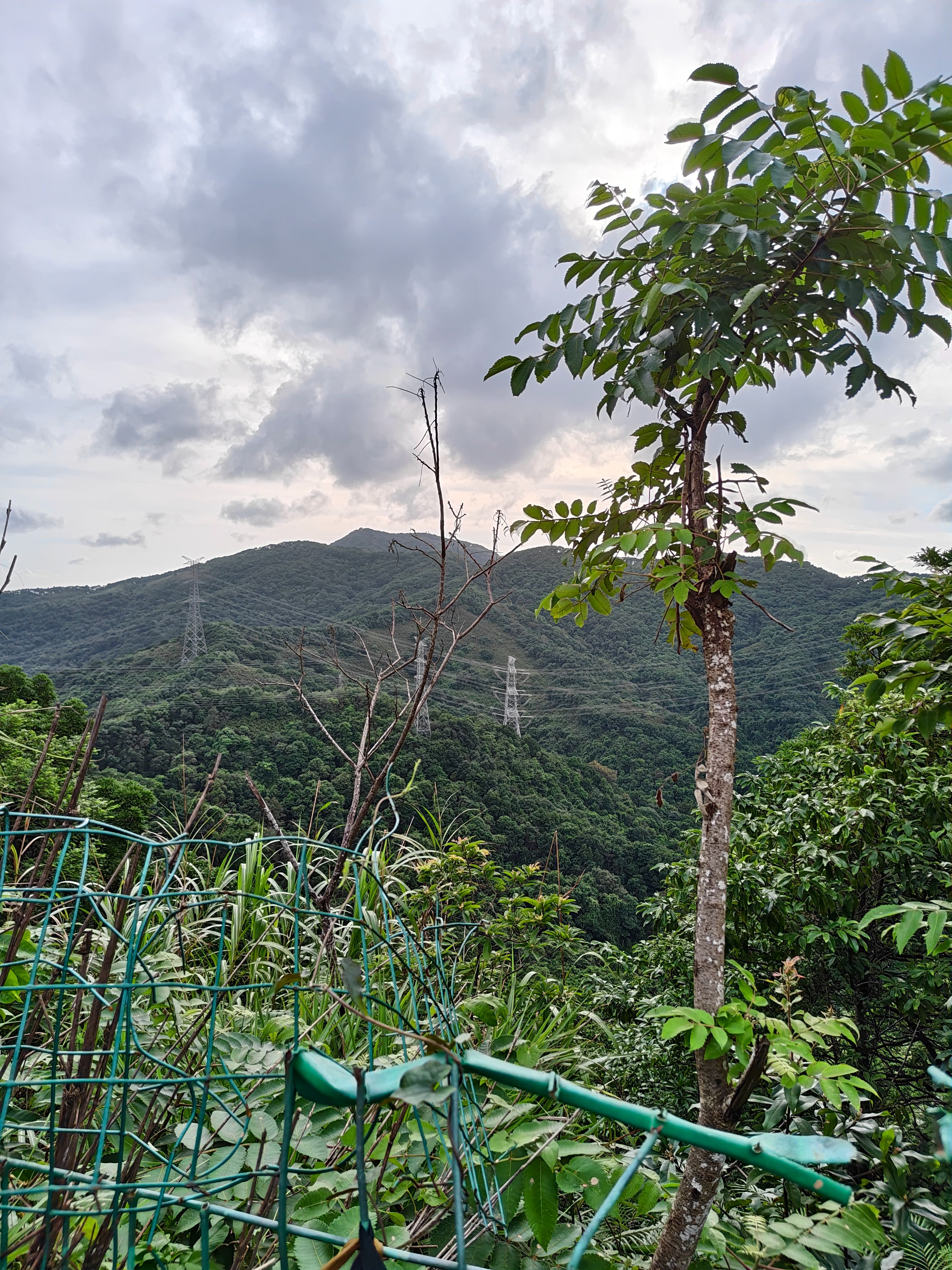 登山,阳台山,羊台叠翠