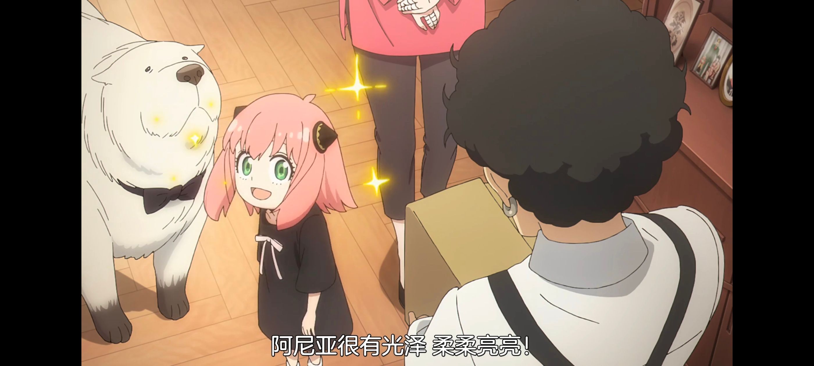 间谍过家家,SPYFAMILY,动画,动漫,番剧,ACG