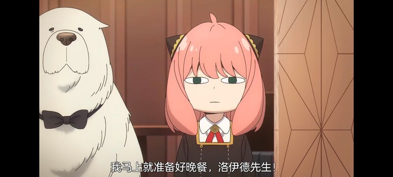 间谍过家家,SPYFAMILY,动漫,动画,番剧,ACG