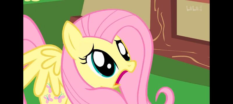 小马宝莉,小马宝莉友谊魔法,彩虹小马,我的小马驹,动画,动漫,番剧,ACG