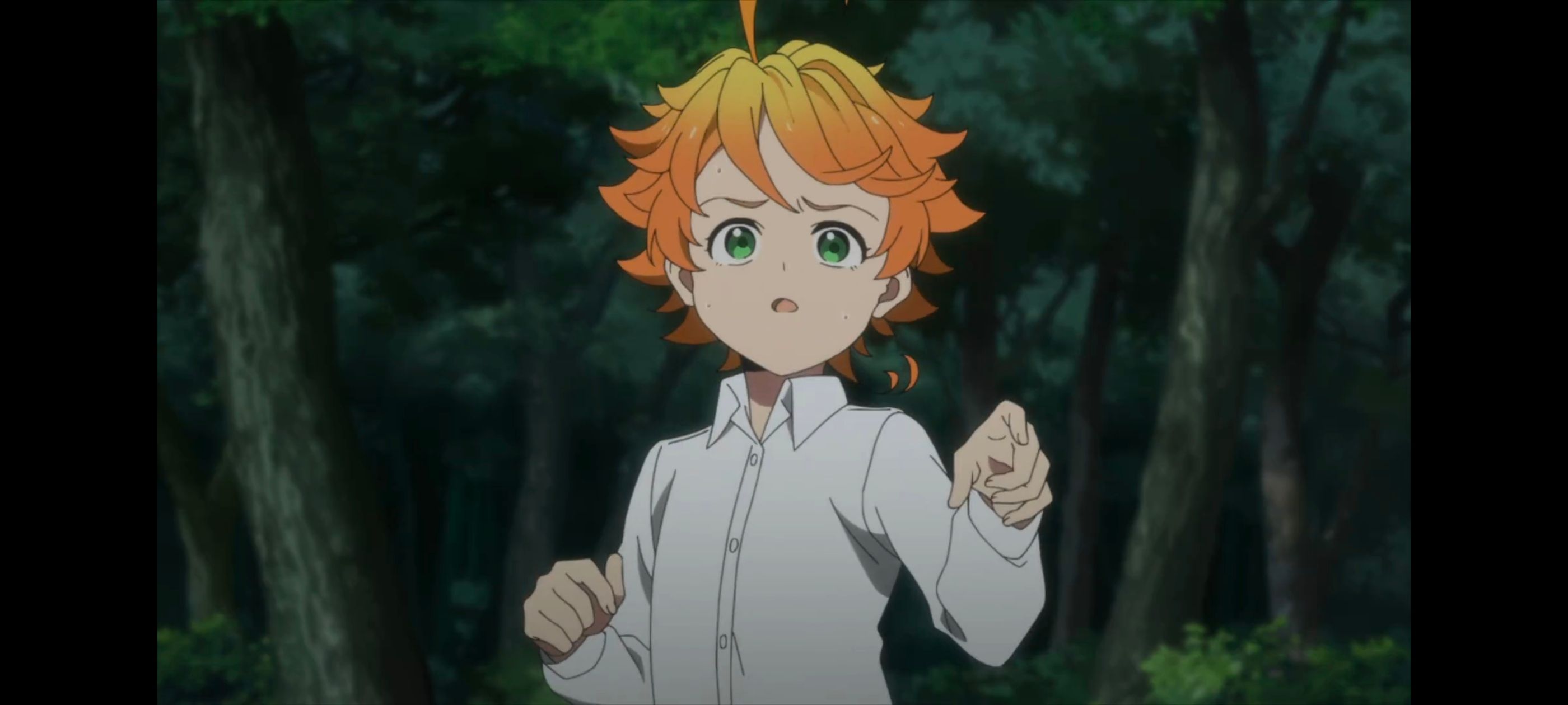 约定的梦幻岛,动画,动漫,番剧,ACG