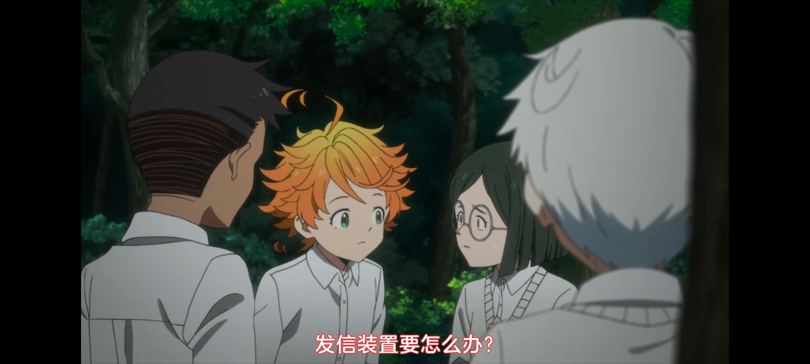 约定的梦幻岛,动画,动漫,番剧,ACG