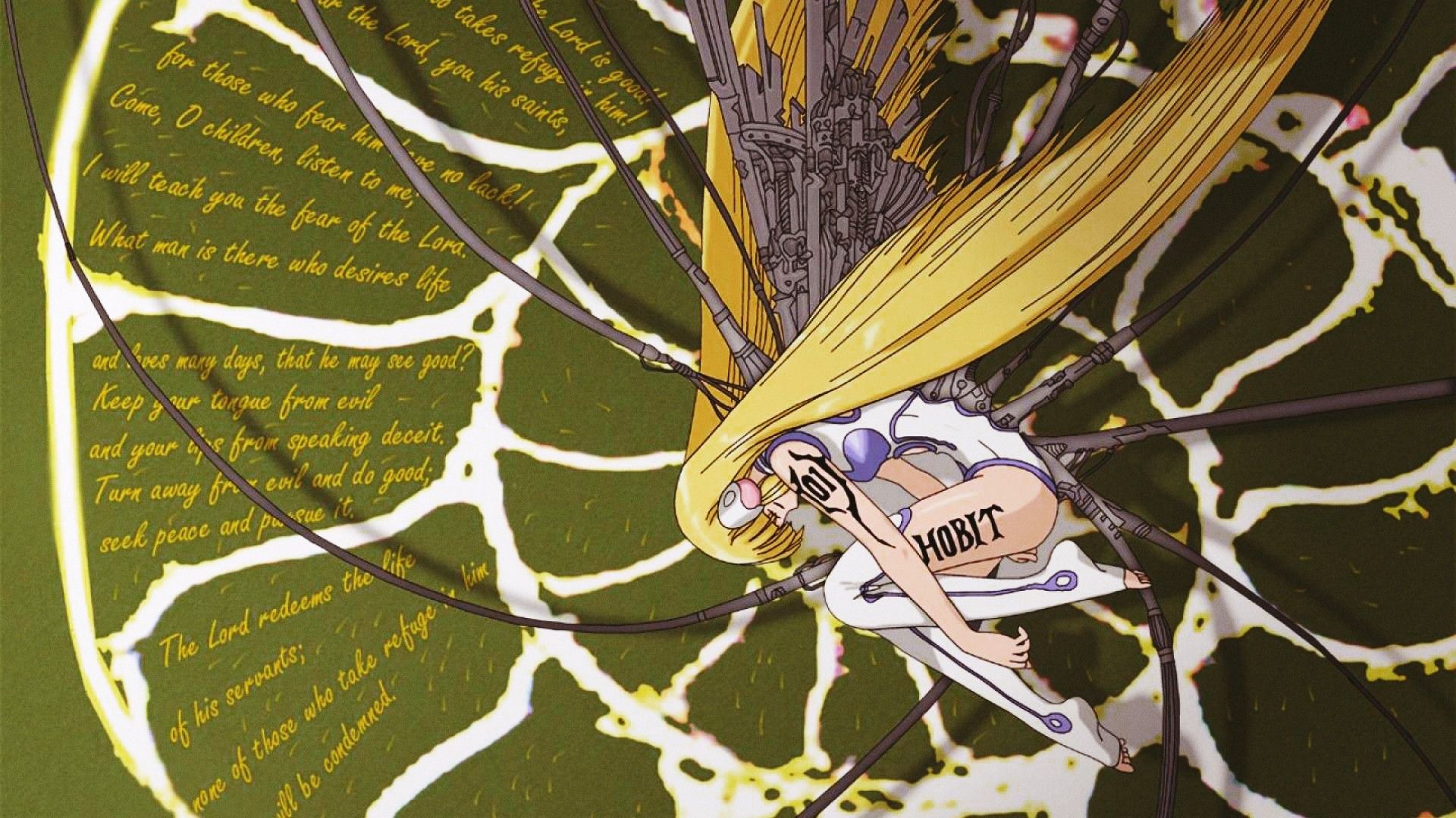 美图,壁纸,wallhanven