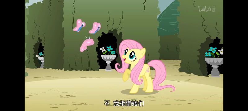 小马宝莉,小马宝莉友谊魔法,彩虹小马,我的小马驹,动画,动漫,番剧,ACG