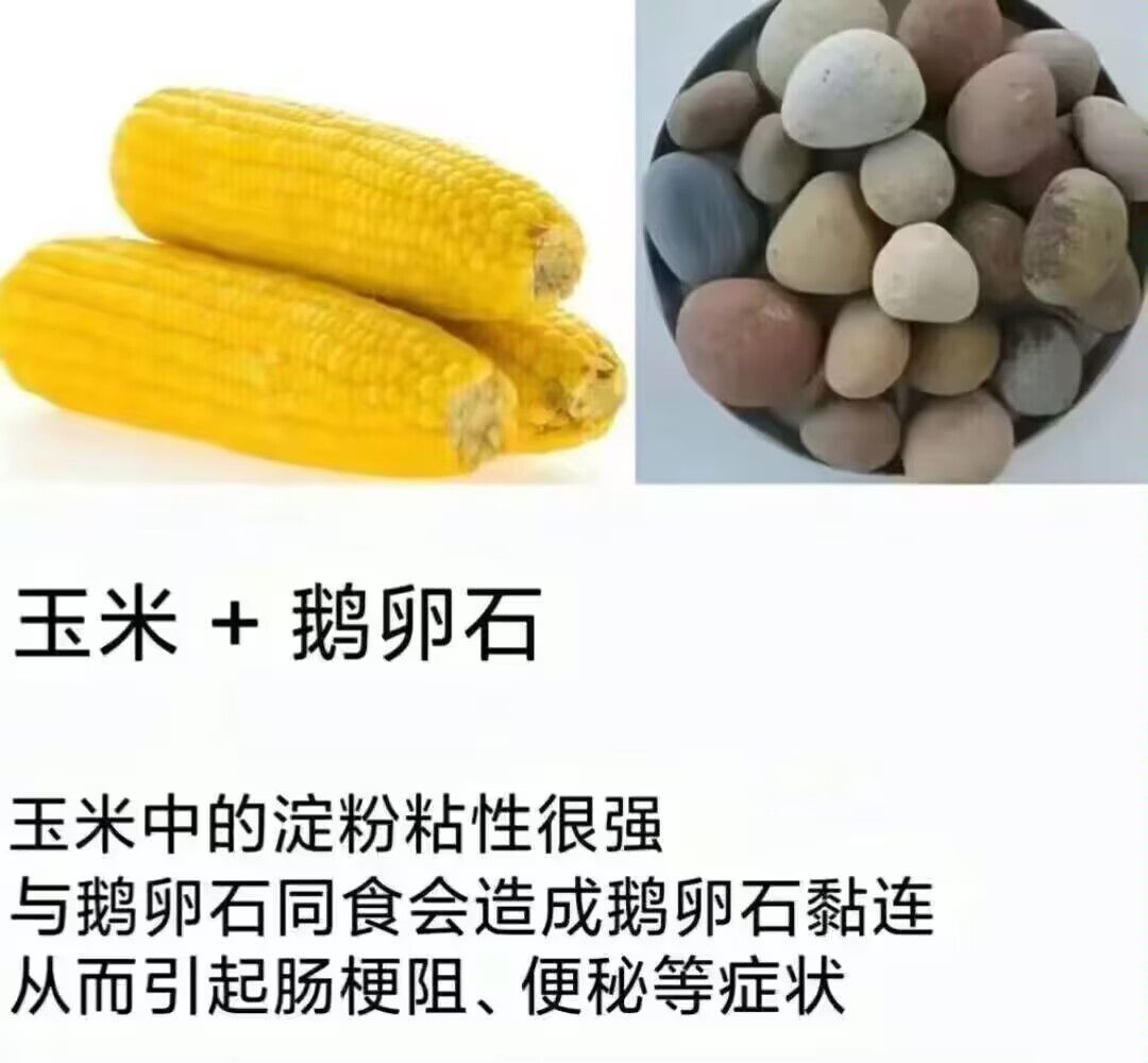 /static/baa299876f13fe7c3809b1a9b6a06ed89f954cb58e1f26cbb0afd830531455d5.jpg