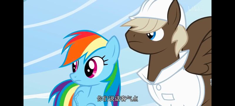 小马宝莉,小马宝莉友谊魔法,彩虹小马,我的小马驹,动画,动漫,番剧,ACG