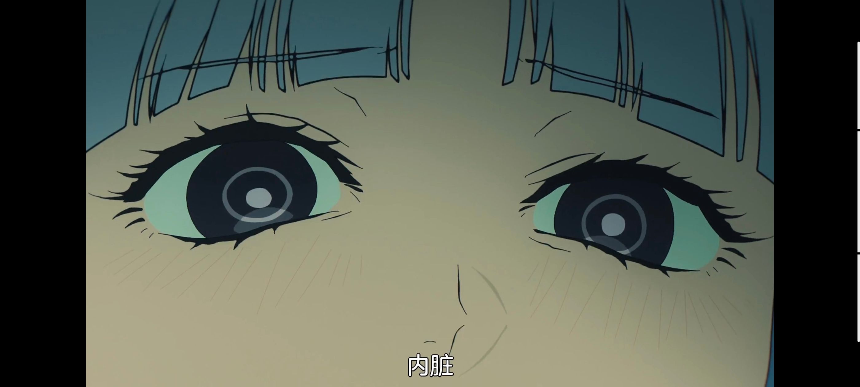 命运奇异赝品,FatestrangeFake,动画,动漫,番剧,ACG