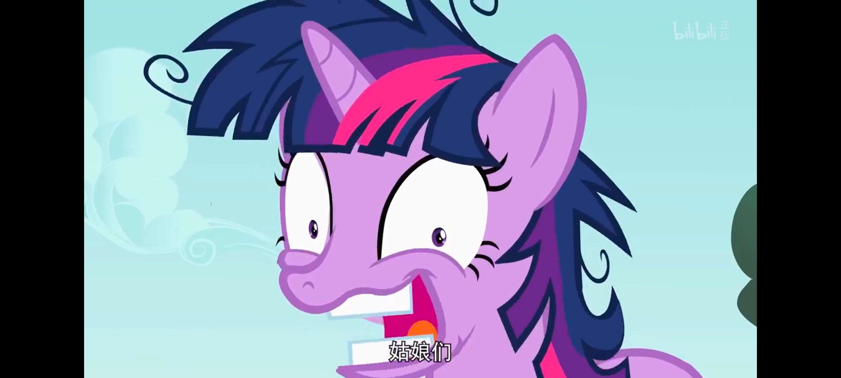 小马宝莉,小马宝莉友谊魔法,彩虹小马,我的小马驹,动画,动漫,番剧,ACG