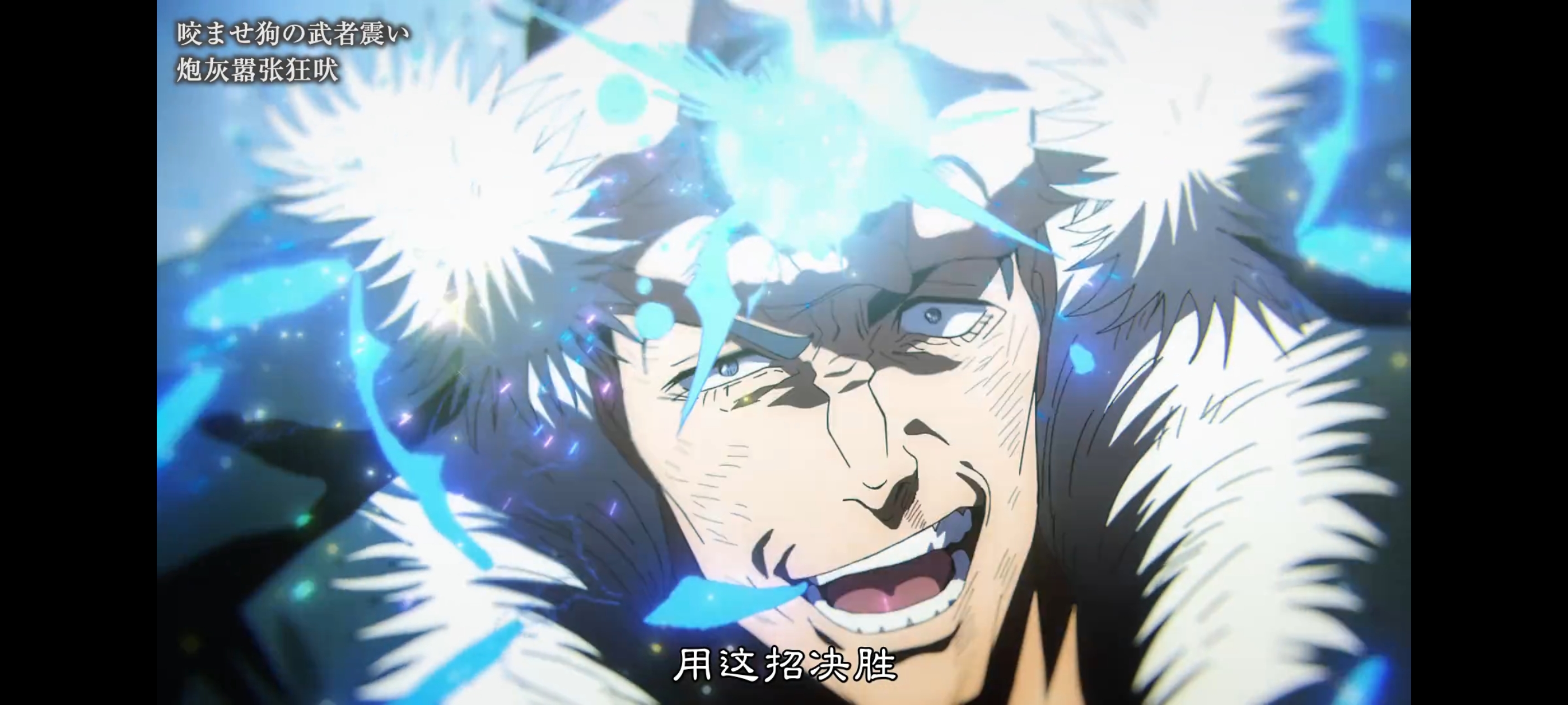 咒术回战,咒术回战死灭回游,动画,动漫,番剧,二次元,ACG