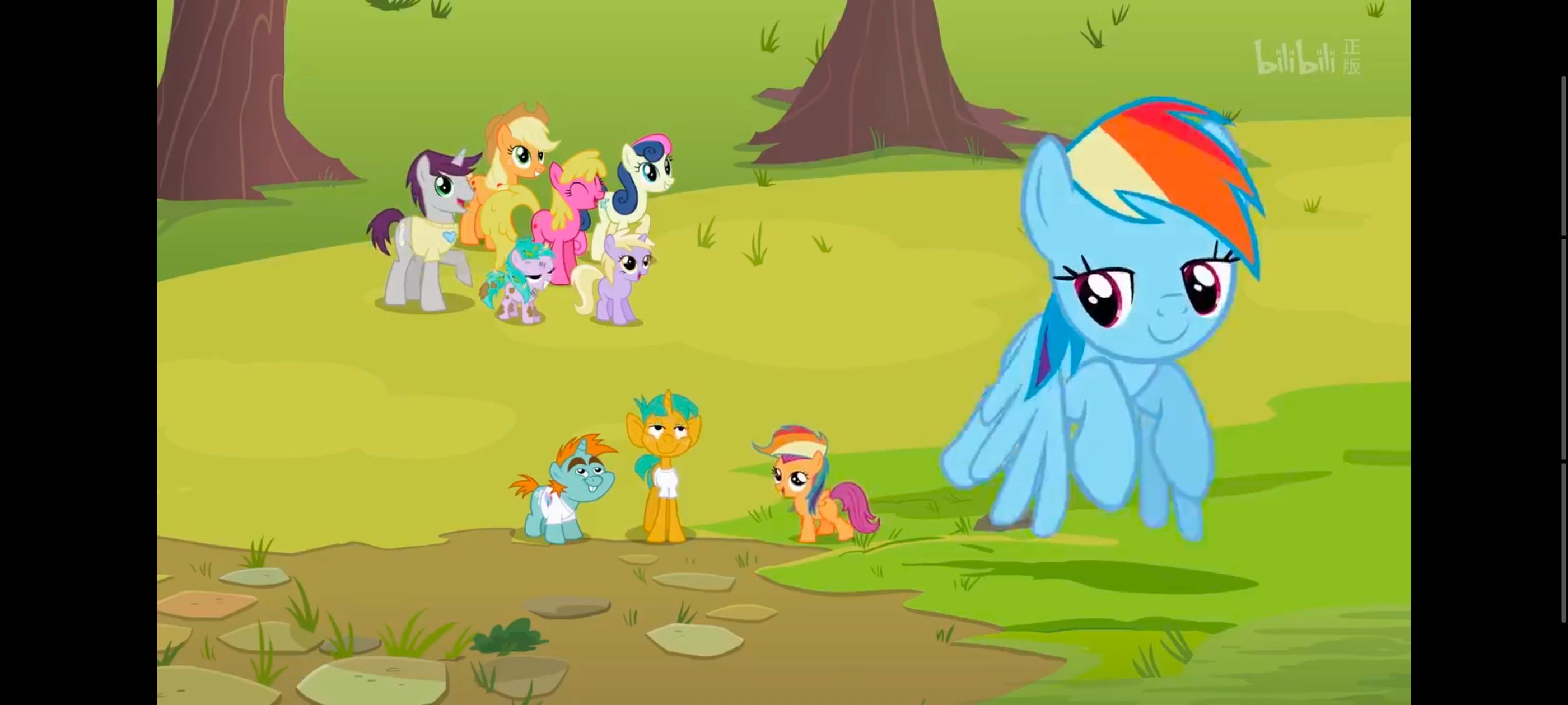 小马宝莉,彩虹小马,我的小马驹,动画,动漫,番剧,ACG