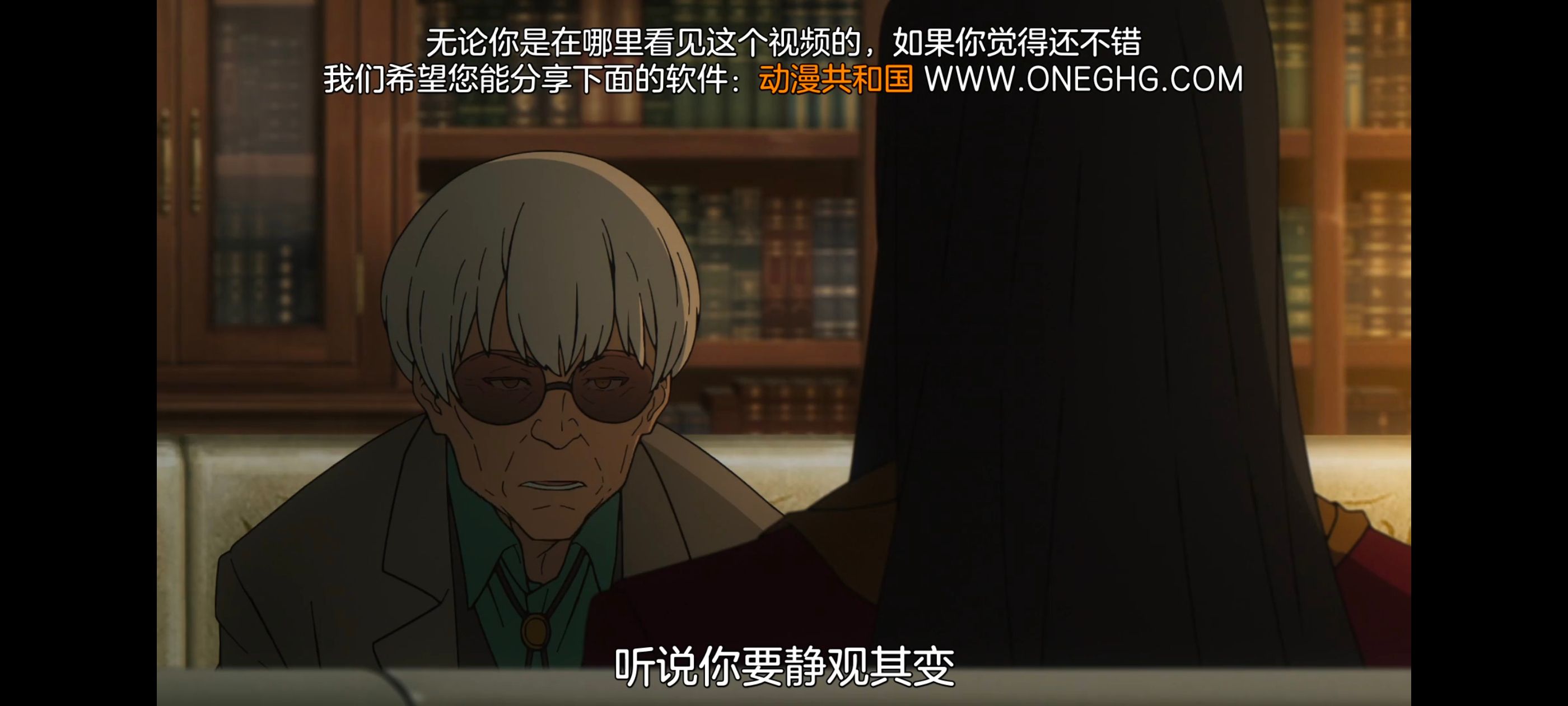 命运奇异赝品,FatestrangeFake,动画,动漫,番剧,ACG