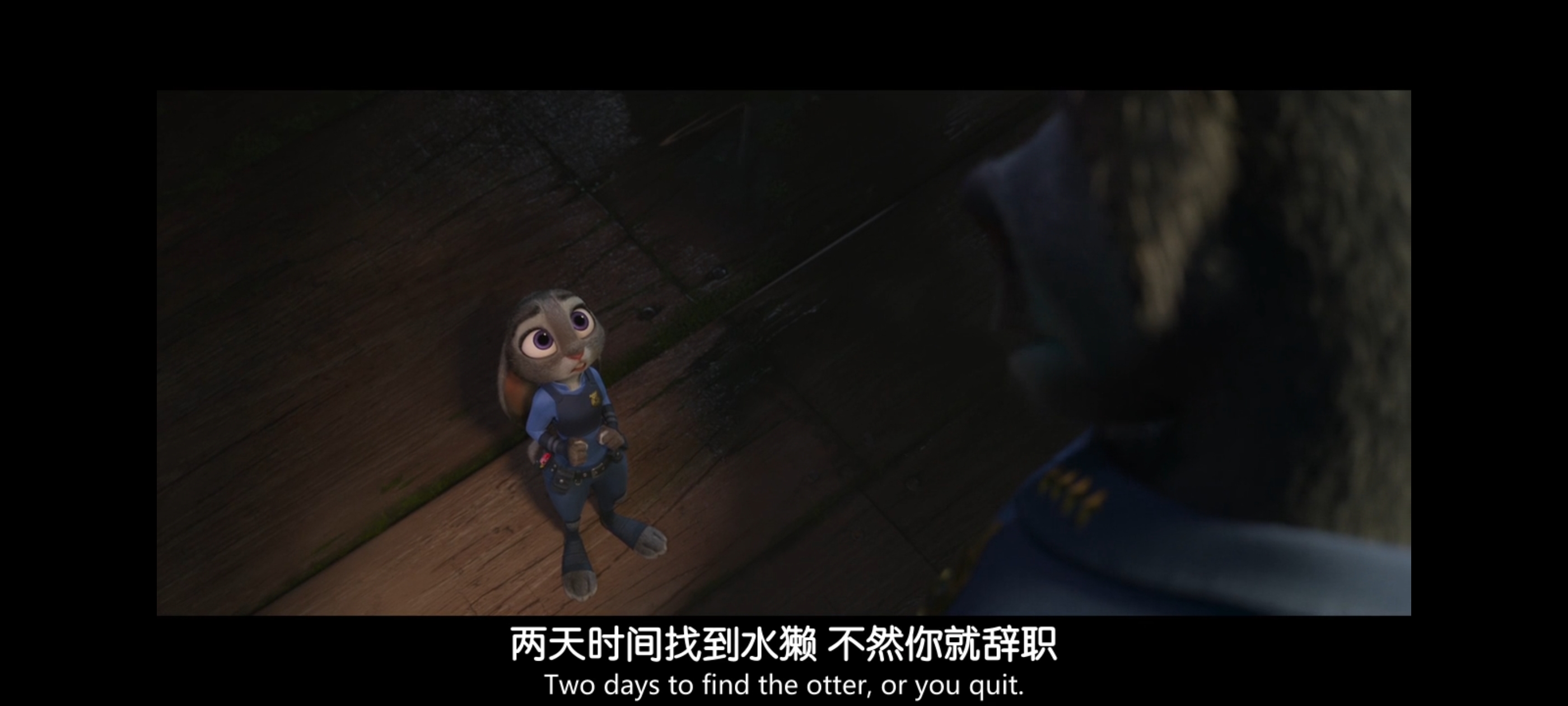 疯狂动物城,动画电影,动漫,动画,电影,二次元,ACG