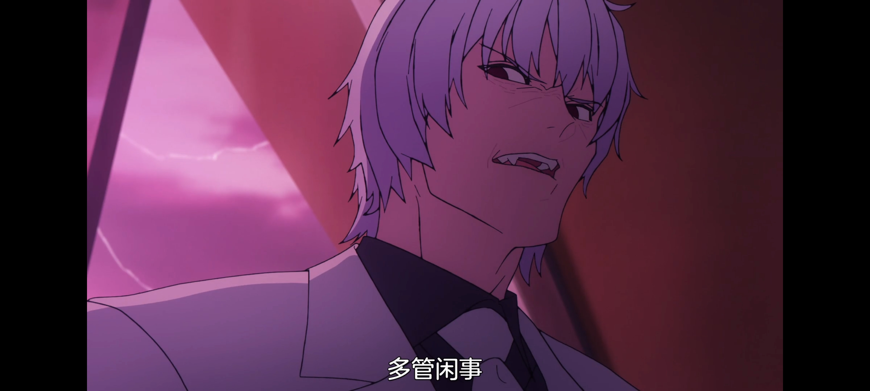 FATE,命运奇异赝品,FatestrangeFake,动画,动漫,番剧,二次元,ACG