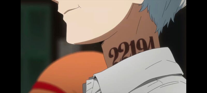 约定的梦幻岛,动画,动漫,番剧,ACG