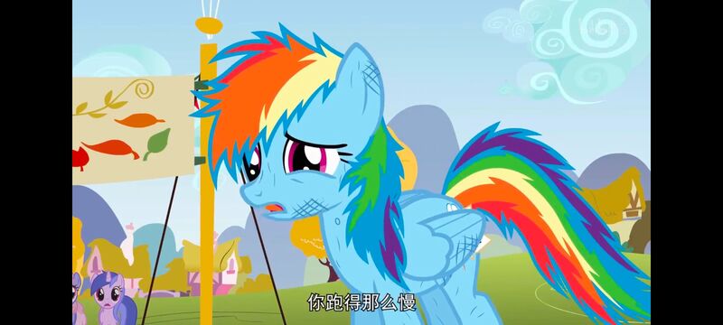 小马宝莉,小马宝莉友谊魔法,彩虹小马,我的小马驹,动画,动漫,番剧,ACG