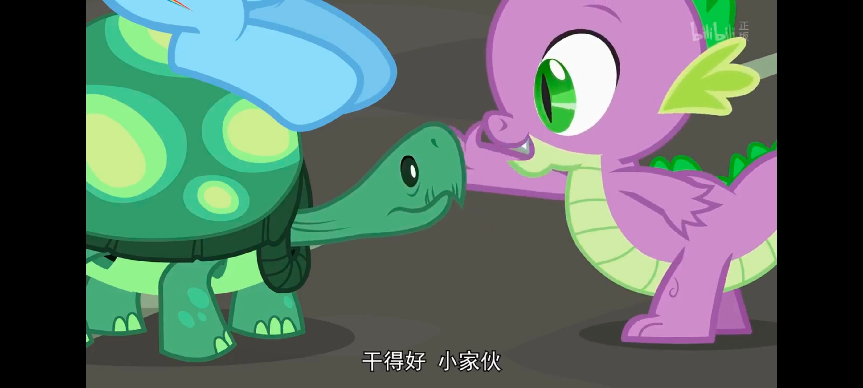 小马宝莉,彩虹小马,我的小马驹,动画,动漫,番剧,二次元,ACG