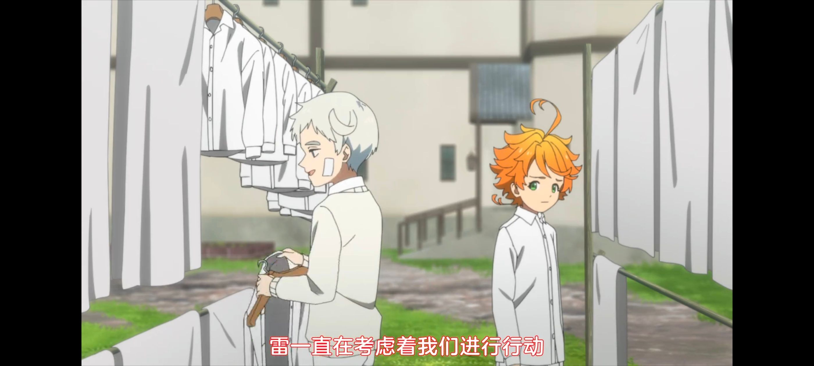 约定的梦幻岛,动画,动漫,番剧,ACG