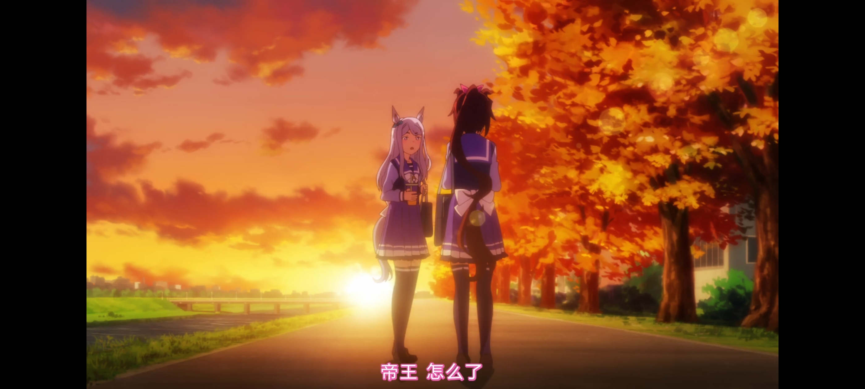 赛马娘,赛马娘第二季,动画,动漫,番剧,二次元,ACG