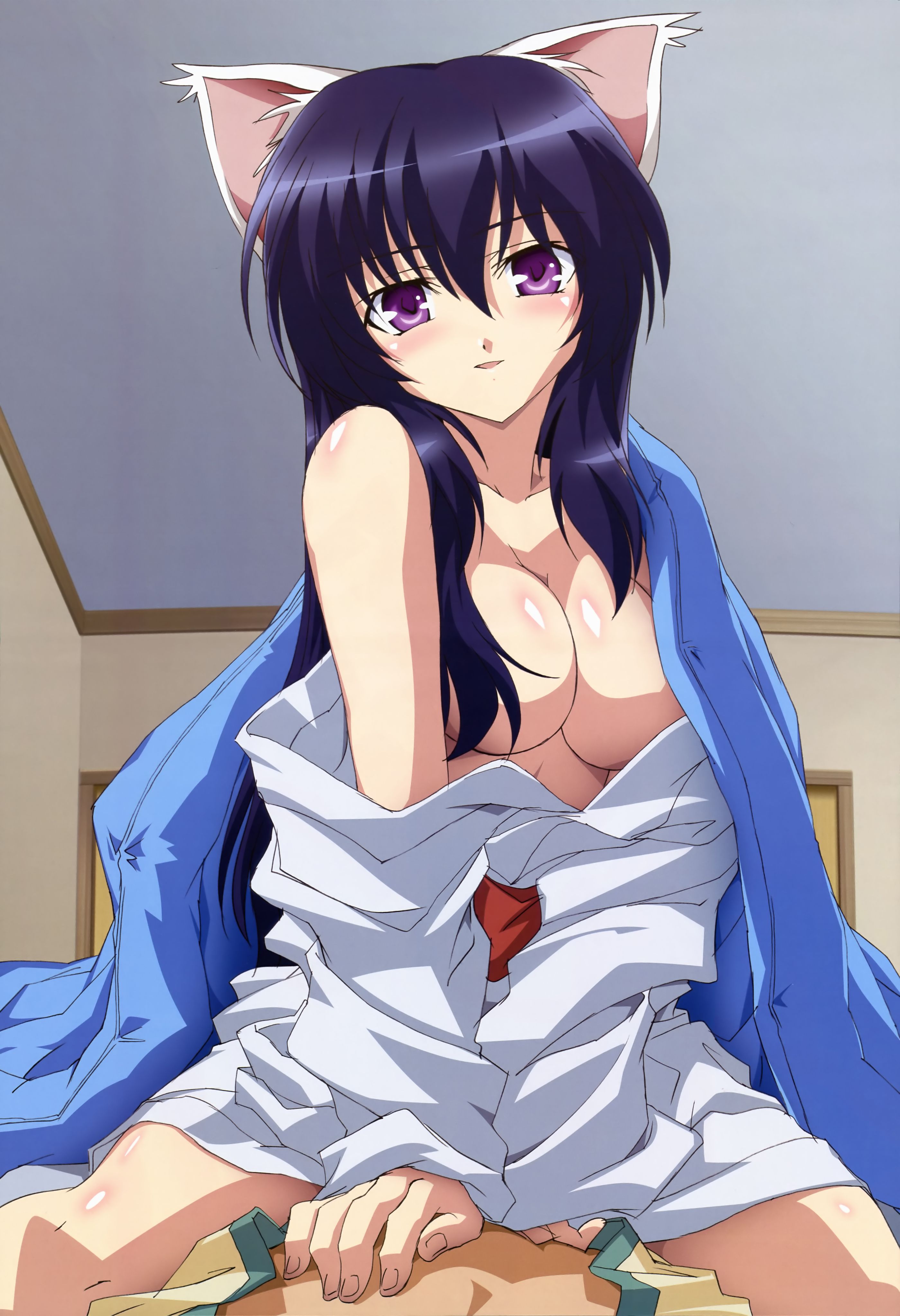 杂志,动漫,二次元,acg,Nyantype