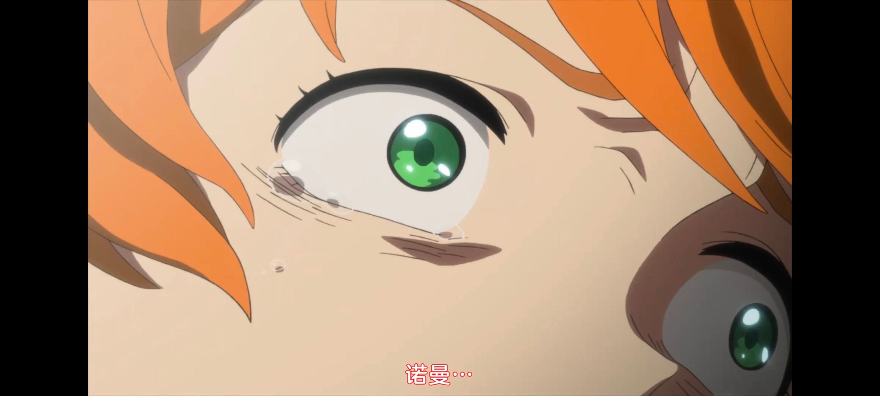 约定的梦幻岛,动画,动漫,番剧,二次元,ACG