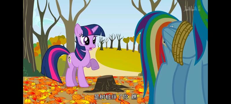 小马宝莉,小马宝莉友谊魔法,彩虹小马,我的小马驹,动画,动漫,番剧,ACG
