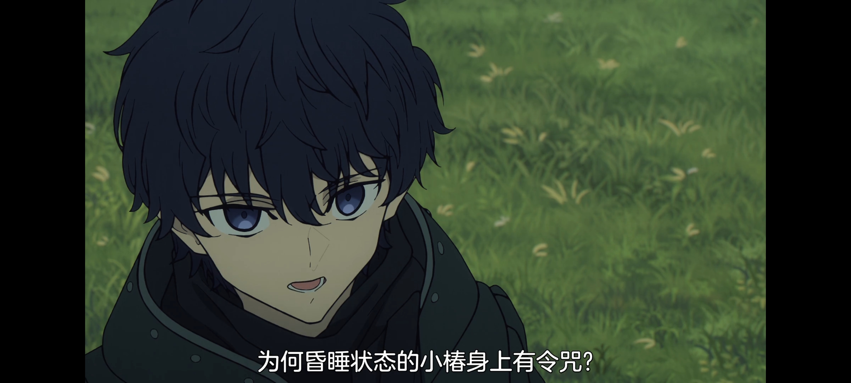 命运奇异赝品,FATE,FatestrangeFake,动漫,动画,番剧,ACG