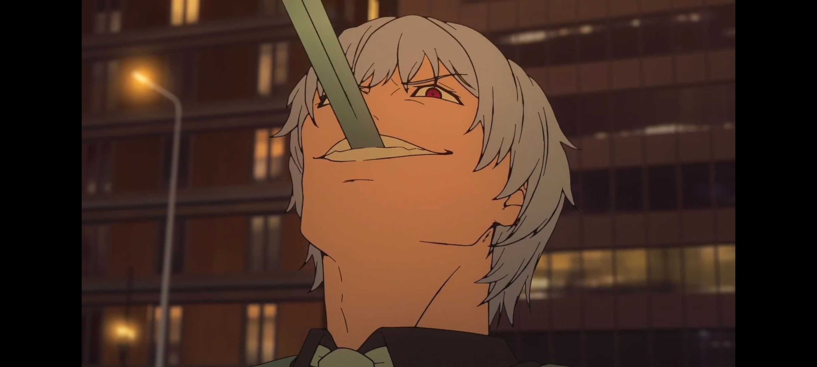 命运奇异赝品,FatestrangeFake,动画,动漫,番剧,ACG