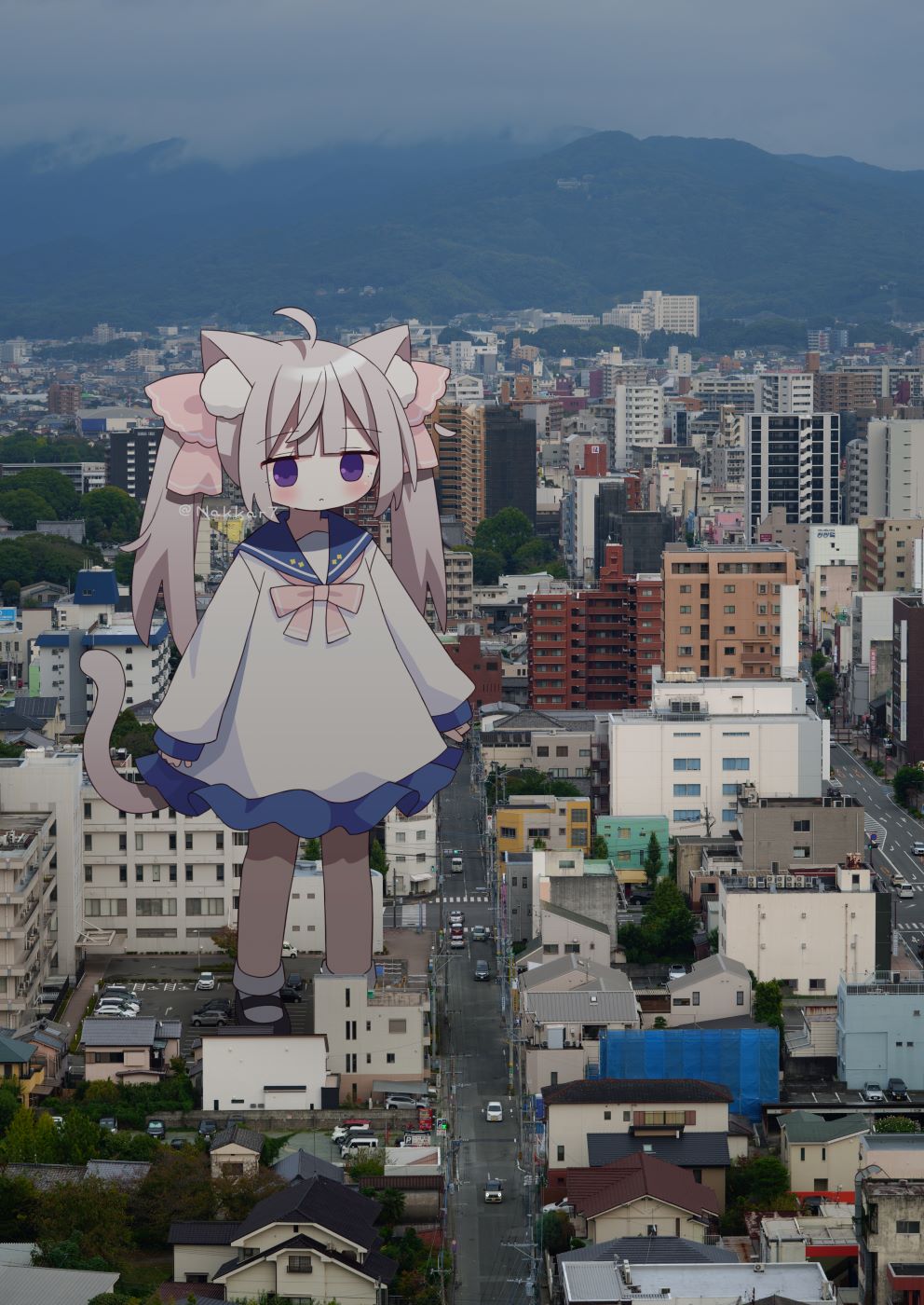 pixiv,猫娘,二次元,绘画,壁纸,美少女