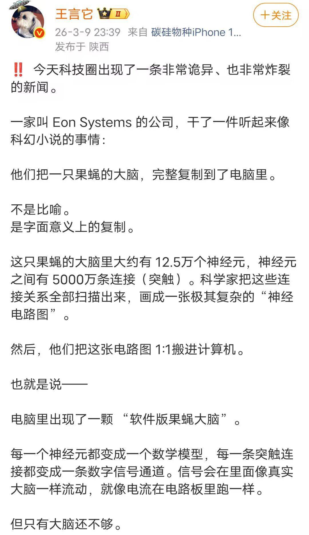 果蝇,电脑,科幻,科技